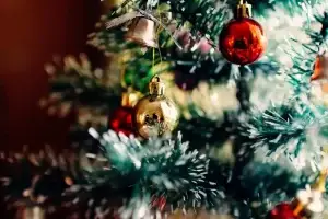 We make Christmas and New Year feel special at Blossom Home Care