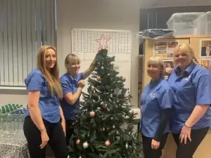 A team of Blossom Homecare professionals standing next to their decorated christmas tree.