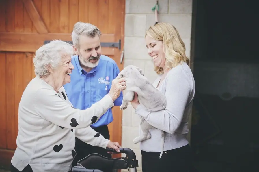 Two carers and an elderly woman holding a dog to show Blossom's support services.