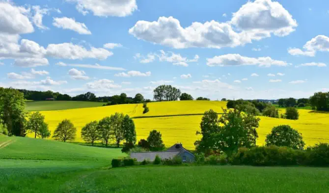 A view of the West Essex country side to represent the in-home care services provided by Blossom Home Care across the area.